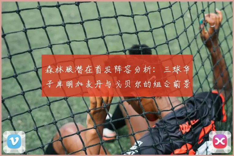 森林狼潜在首发阵容分析：三球华子库明加麦丹与戈贝尔的组合前景如何