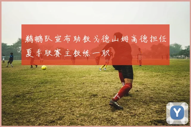 鹈鹕队宣布助教戈德山姆高德担任夏季联赛主教练一职