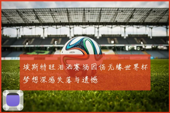 埃斯特旺泪洒赛场因伤无缘世界杯梦想深感失落与遗憾